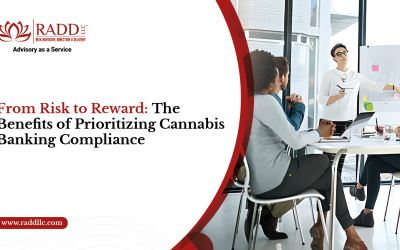 From Risk to Reward: The Benefits of Prioritizing Cannabis Banking Compliance