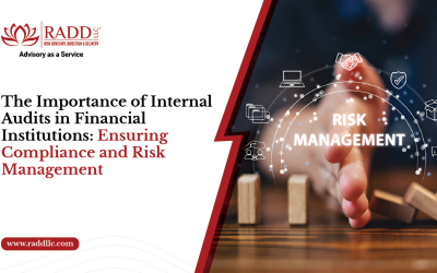 The Importance of Internal Audits in Financial Institutions: Ensuring Compliance and Risk Management