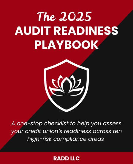 2025 Audit Playbook - Ebook cover